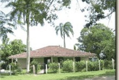 yaya_guaimaro.jpg